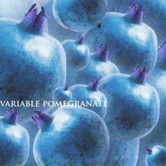 Variable Pomegranate (Instrumental)