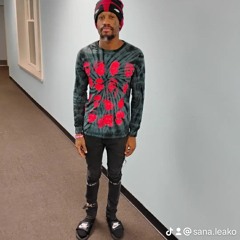 sanaleako - Glock ant