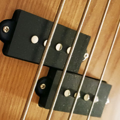 Bounce (Washburn Bass Guitar + Zoom multi effects, Recorded January 2025)