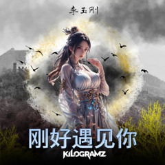 李玉刚 - 刚好遇见你 (Kilogramz Remix)