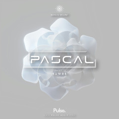 PASCAL ft. Tumbe - Bana & Ocljiu'