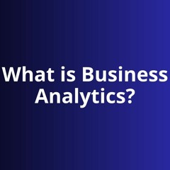 What is Business Analytics | Melanie Panayiotou Veterinarian