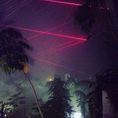 Traplanta