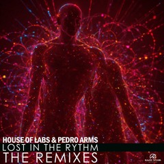 House of Labs & Pedro Arms - Lost In The Rhythm (Leanh Remix)