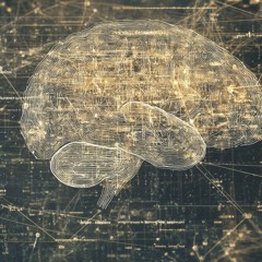 Curiosity, Compression, and the Brain's Information Networks