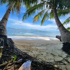 Maliuliu elemarel IFA