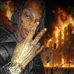 WHOPP ARCHIVE - CiCi (20PrettyHusky)