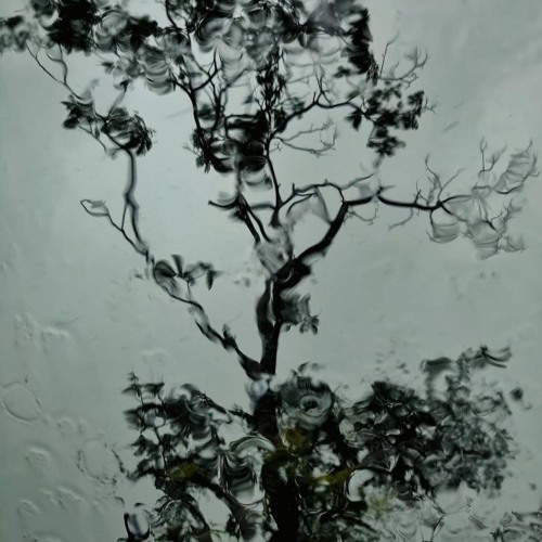 MindBook - Dark Prog Set Rain Tapes | Home Studio Session | May 2025