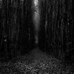 Fake Friends-feat. God Sent