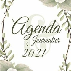 Lire Agenda Journalier 2021: 12 Mois Journalier (Janvier à Décembre 2021) - Planificateur, Semaini