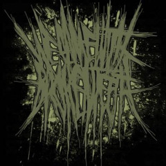 Sit There and Rot - Wecamewithbrokenteeth