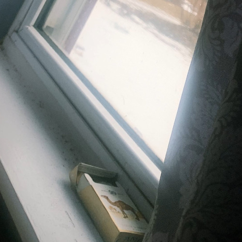 back to the pzrty + Lil Twareg #gtfo (☆)