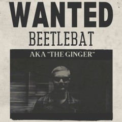 Be Dumb Bro: The Live Experience