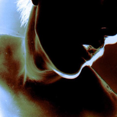 you should have aimed for the head