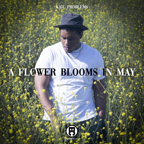 Kail Problems, Marley B & DJ Hoppa - With All Disrespect