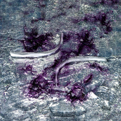 PREMIERE | RAVL - Col Tempo [Silence Collapse]