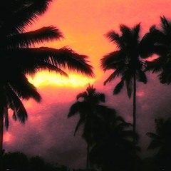 Hotel Paradisio - PALMITO 🌴 (Dreamy Version)