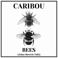 Caribou - Bees (John Bowtie Edit)
