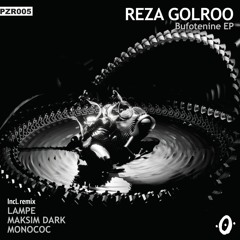 Reza Golroo - Bufotenine (Original Mix ) Pointzero Records