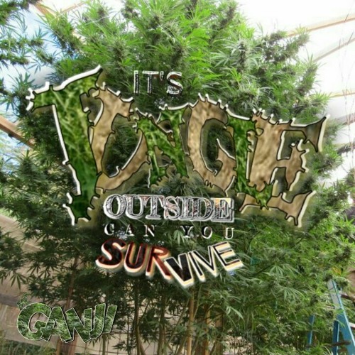 Its A Jungle Outside - Ganji - mp3