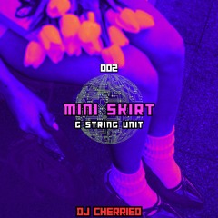 Mini Skirt - DJ Cherried (002)
