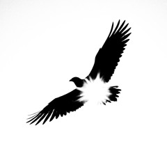 Set Me Free