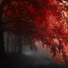 Iphone Voice Memo 63: Earned It (The Weeknd Cover) Demo Version