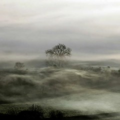 #Dz good background music FREE DOWNLOAD