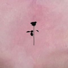 PREMIERE: S.ONE - Meli (Original Mix) [Black Rose]