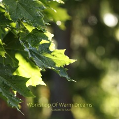 Workshop Of Warm Dreams - Summer Rain