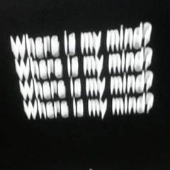 Cant show it