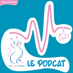 S1_E11 : Tu As Une Tête À Chapeaux