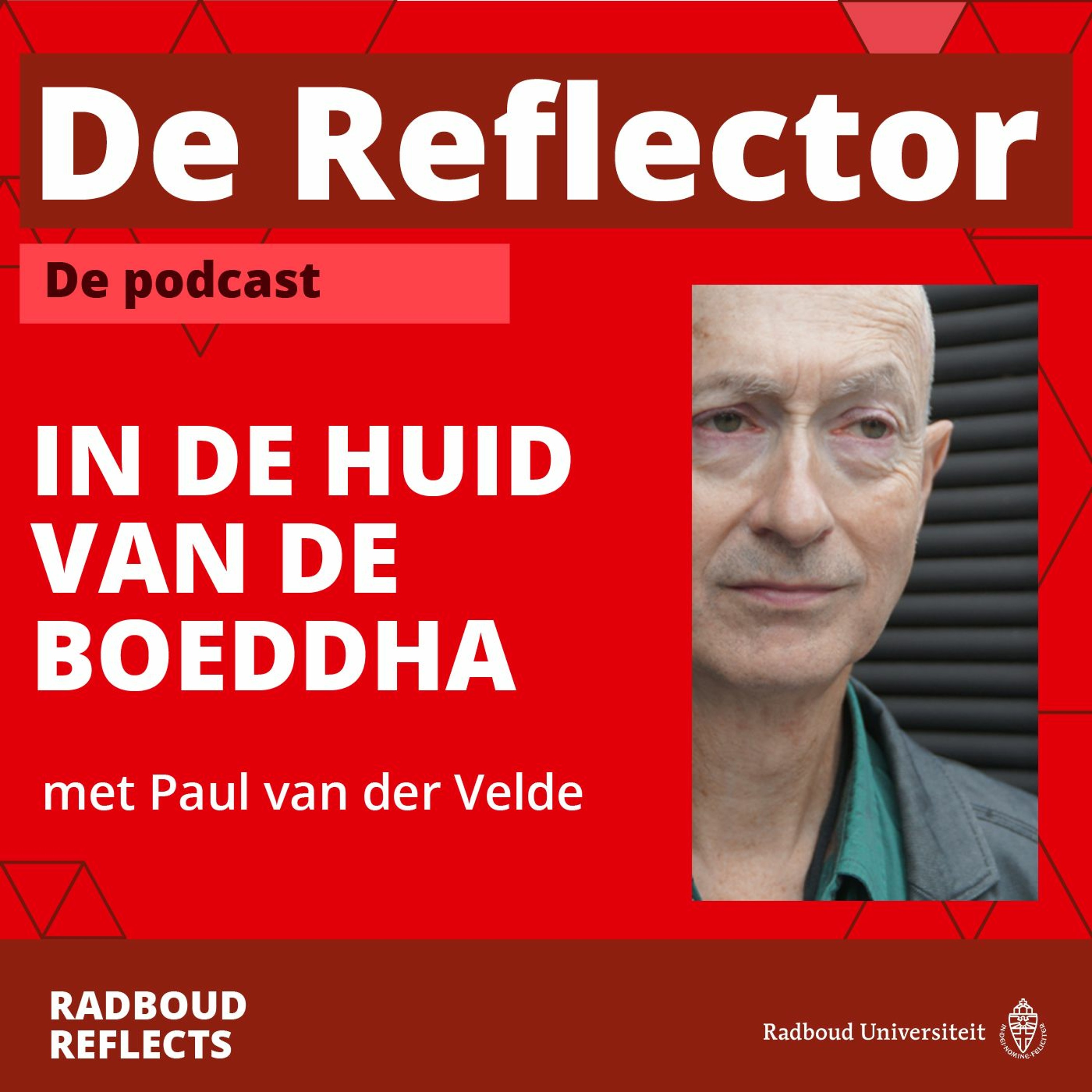 De Reflector - In de huid van de boeddha met religiewetenschapper Paul van der Velde episode artwork