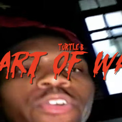 Turtle B - Art Of War