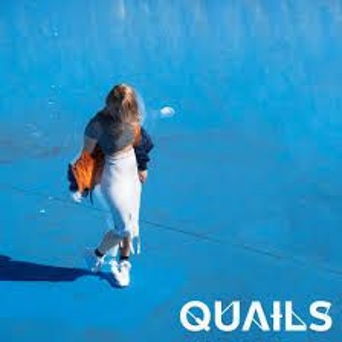 Quails - High Hopes