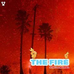 YOU GOT THE FIRE