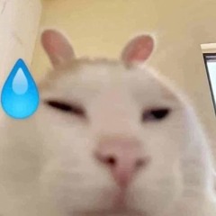 떨진스 팜하루 - cookie