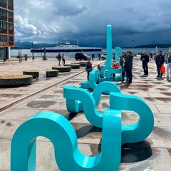 Stålbogeskrift i glosenes by - Øystein Hauge/Ole Foss