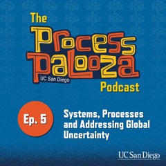 Process Palooza Podcast Ep. 5:  Systems, Processes, and Addressing Global Uncertainty