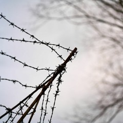 Longing - The Sadness Remains