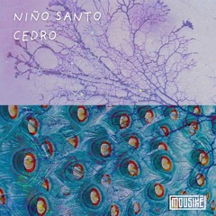 Cedro - Esporas (Original Mix) | MOU017