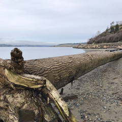 Levels - Instrumental