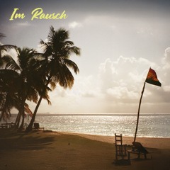 Im Rausch (Instrumental)
