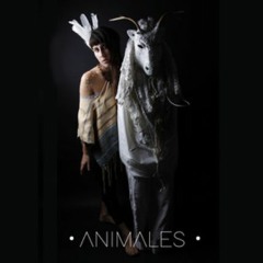 Voice - Paz Quintana