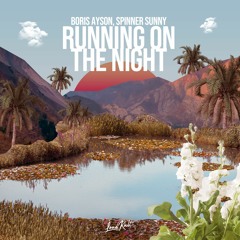 Boris Ayson, Spinner Sunny  - Running on the night