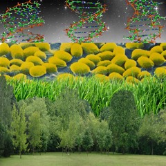 GRASS DNA DELUXE (DJ WILANÓW JUGGERNAUT REMIX)