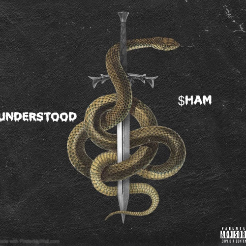 $ham - UNDERSTOOD ( official audio )