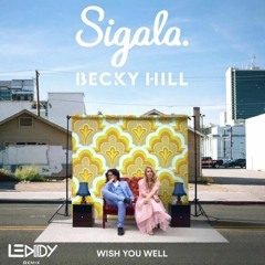 Sigala, Becky Hill - Wish You Well (Leddy Remix)