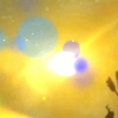 Polar 2