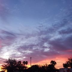 the sky